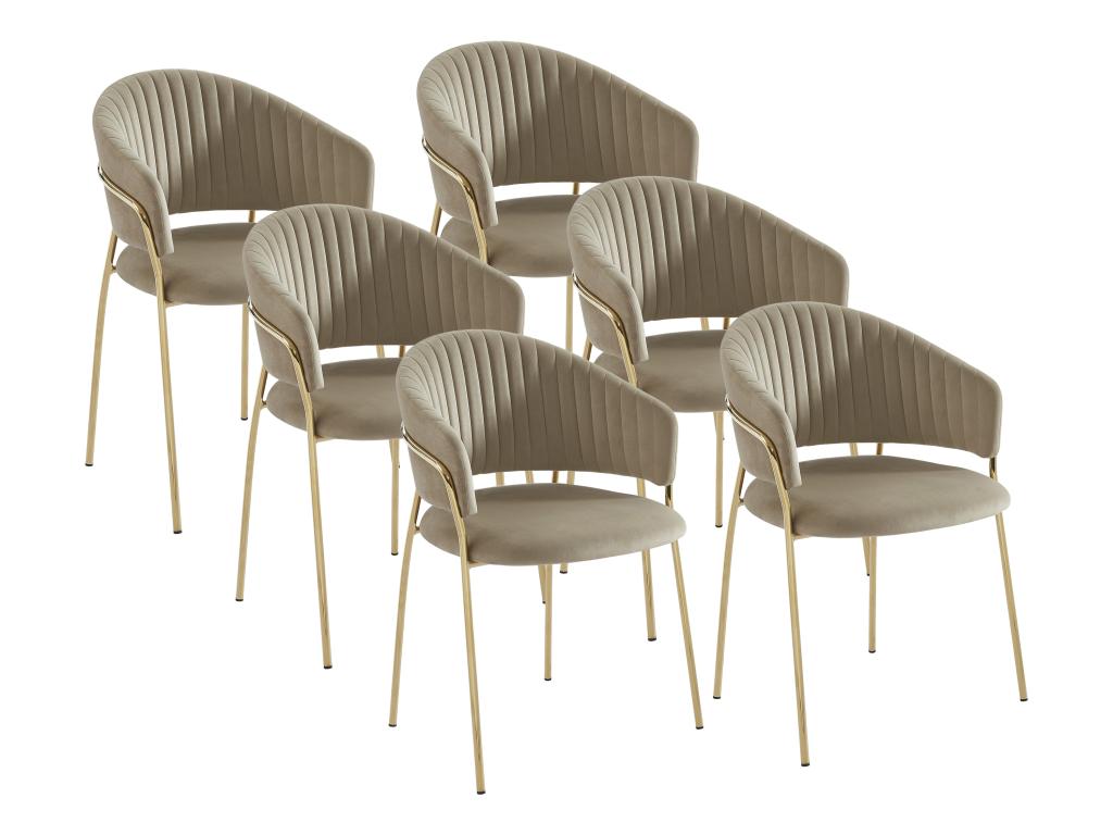 Set of 6 velvet and gold metal chairs - Beige - Meublita MORABITO